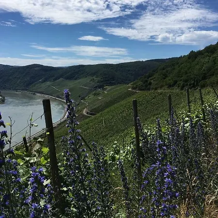 Appartement Oberwerth Coblence