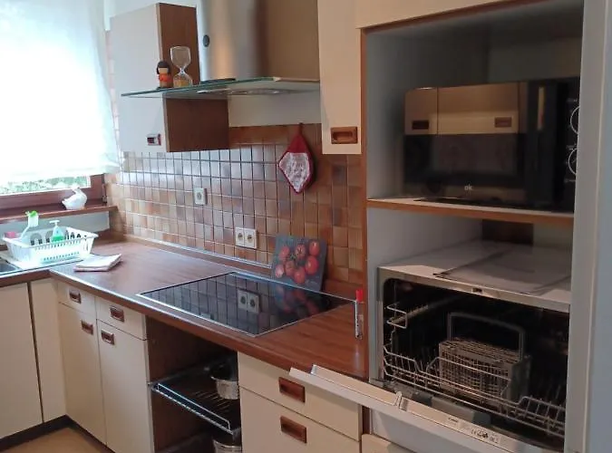 아파트 Oberwerth 코블렌츠