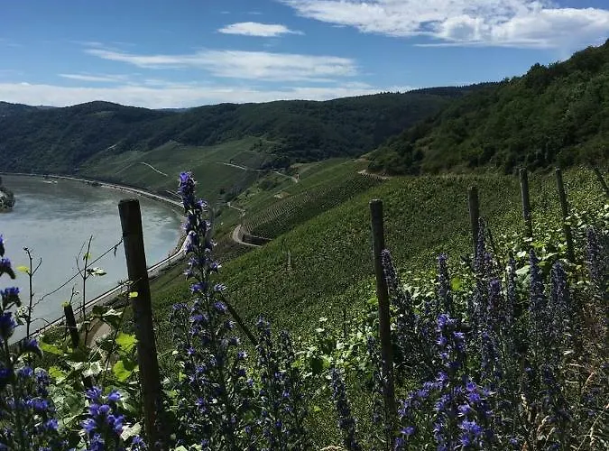 아파트 Oberwerth 코블렌츠